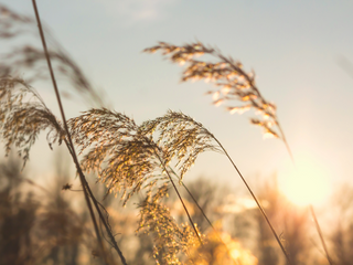Don't ditch the SPF this Winter